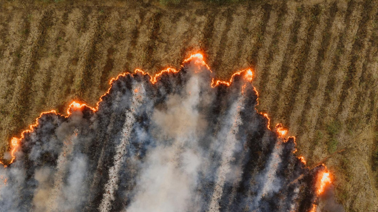 Pump.fun Burns $370 Million in PUMP Tokens and Locks 50% of Revenue Into Buybacks