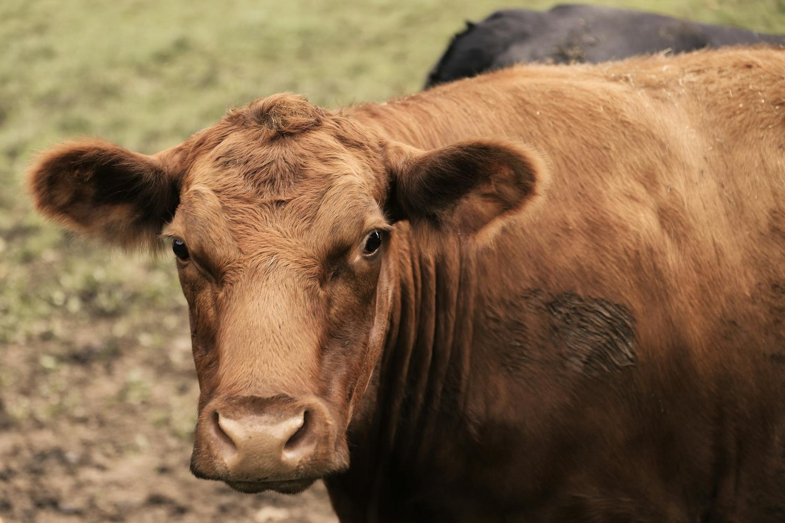 Solana Foundation looks to beef up DeFi security as attacks continue