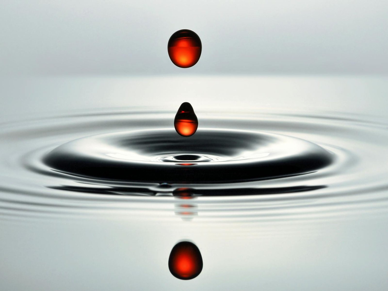 Ripple Highlights RLUSD Impact as Real-World Value Flows Into Small Businesses