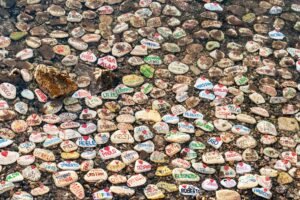 David Woodcock Named SEC Enforcement Chief as Agency Shifts Away From Gensler-Era Crypto Crackdown