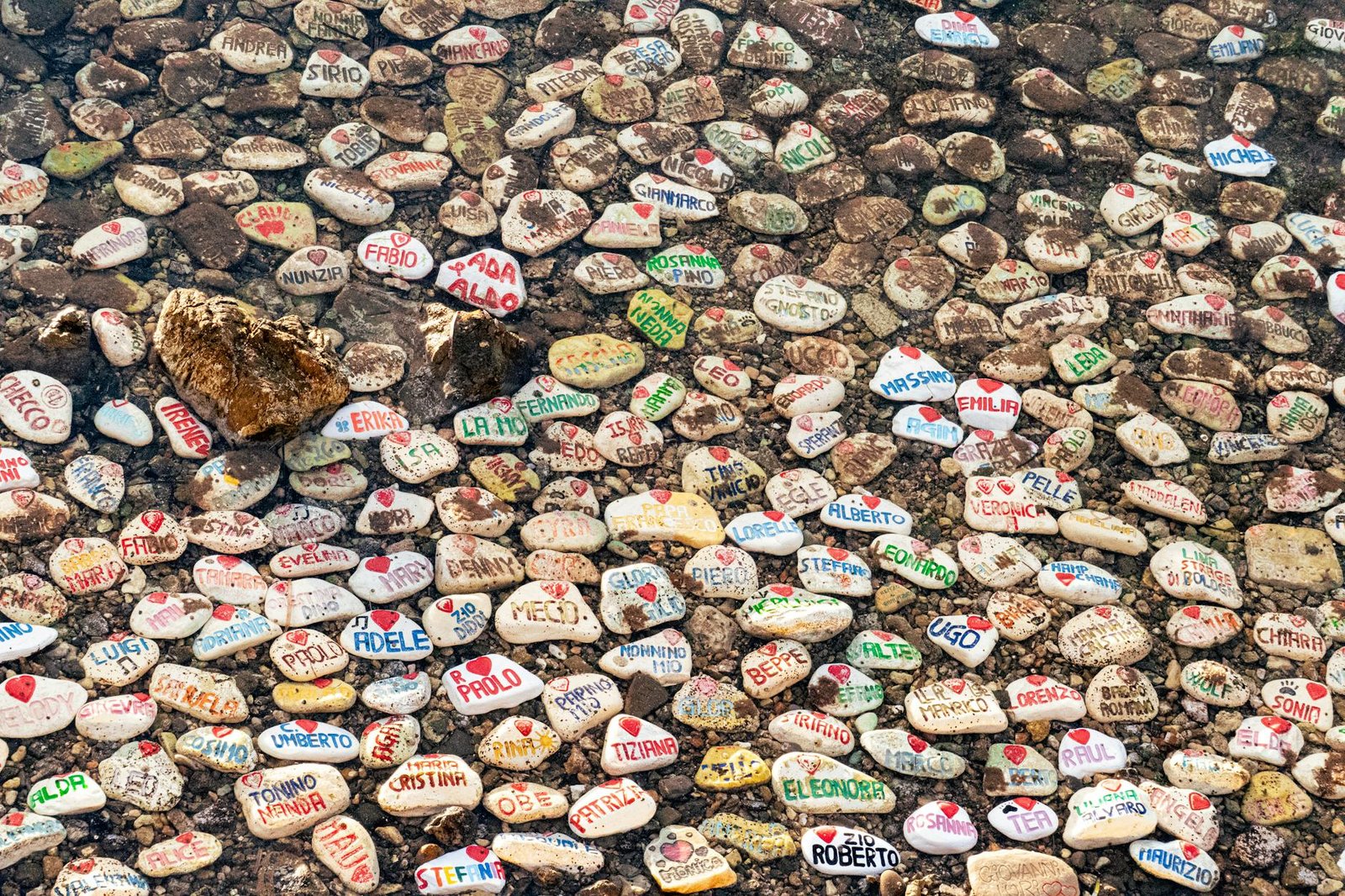 David Woodcock Named SEC Enforcement Chief as Agency Shifts Away From Gensler-Era Crypto Crackdown