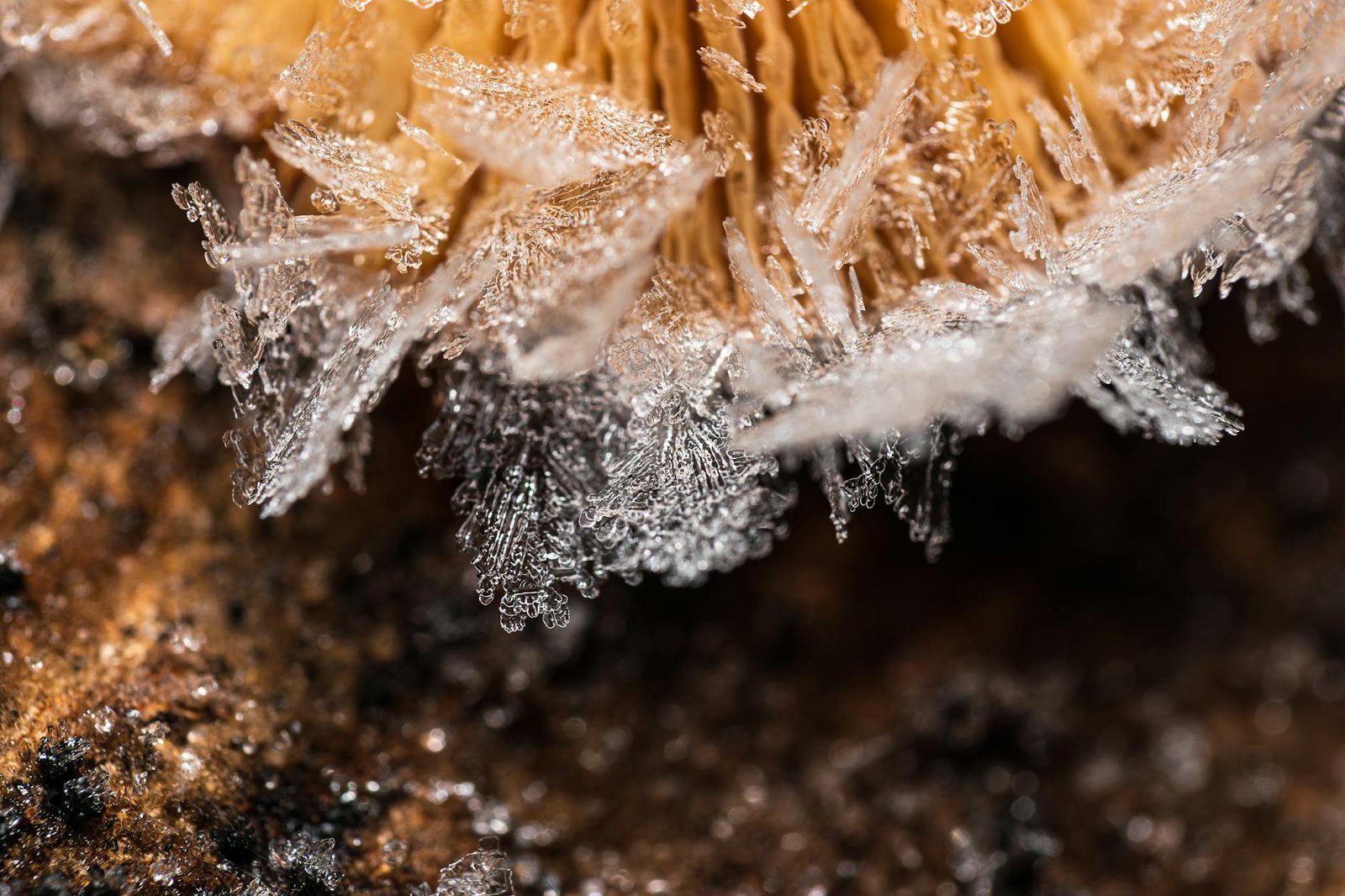 Arbitrum freezes $71 million in ether tied to Kelp DAO exploit