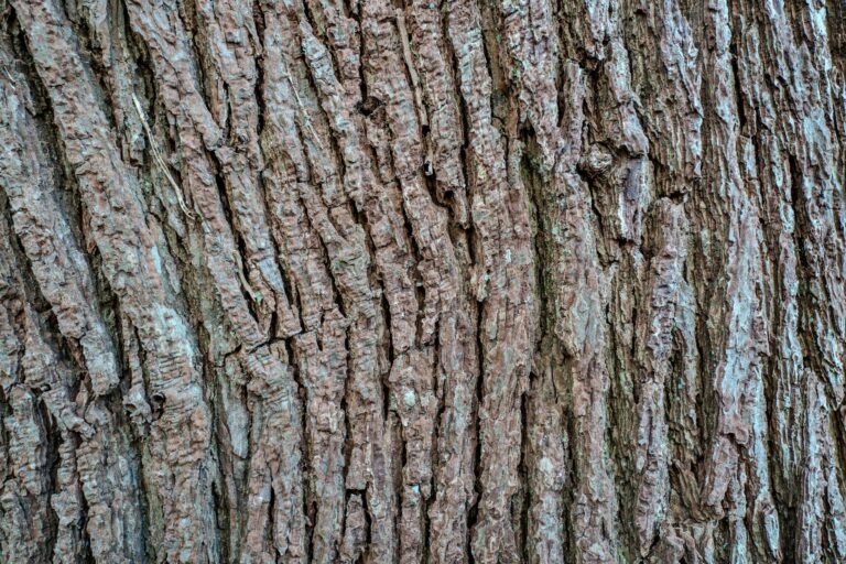 SecondHQ’s Bark Boasts New era of Bitcoin Payments, drawing in former Blockstream developers