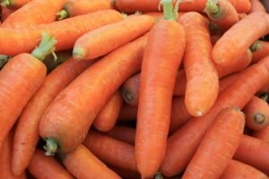 Solana Yield Protocol Carrot Shuts Down After Drift Exploit Drains $8M in TVL