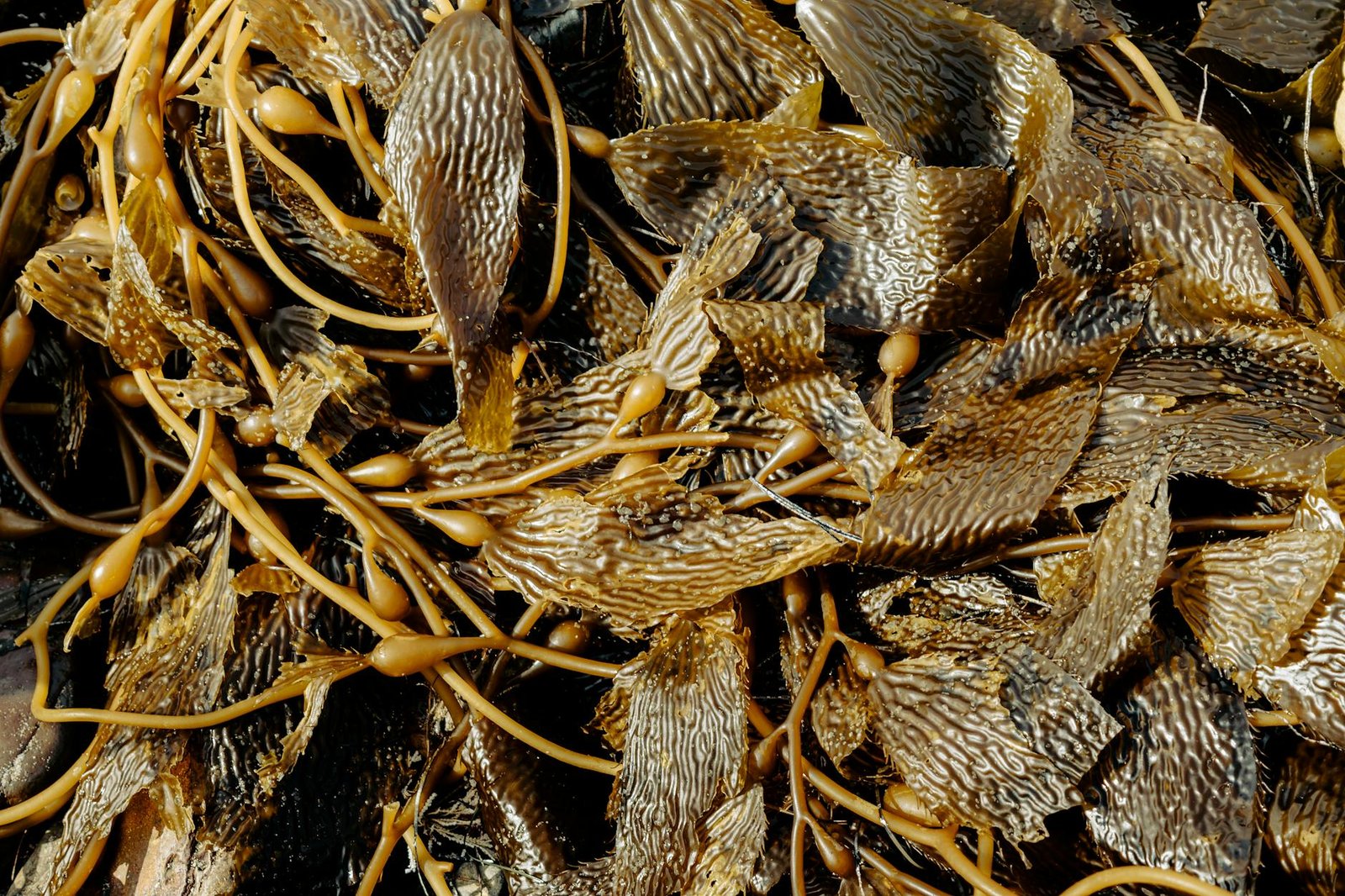 The Protocol: Kelp DAO exploited for $292 million