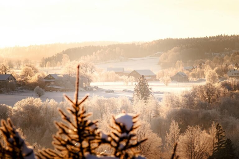 Tether Freezes $344 Million in USDT With OFAC and US Law Enforcement