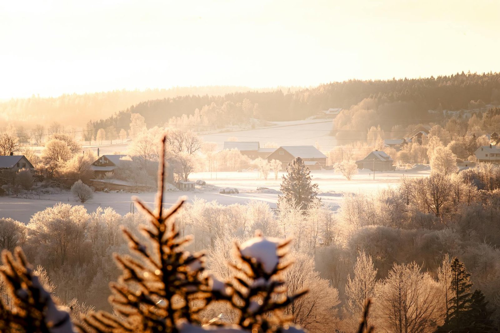 Tether Freezes $344 Million in USDT With OFAC and US Law Enforcement