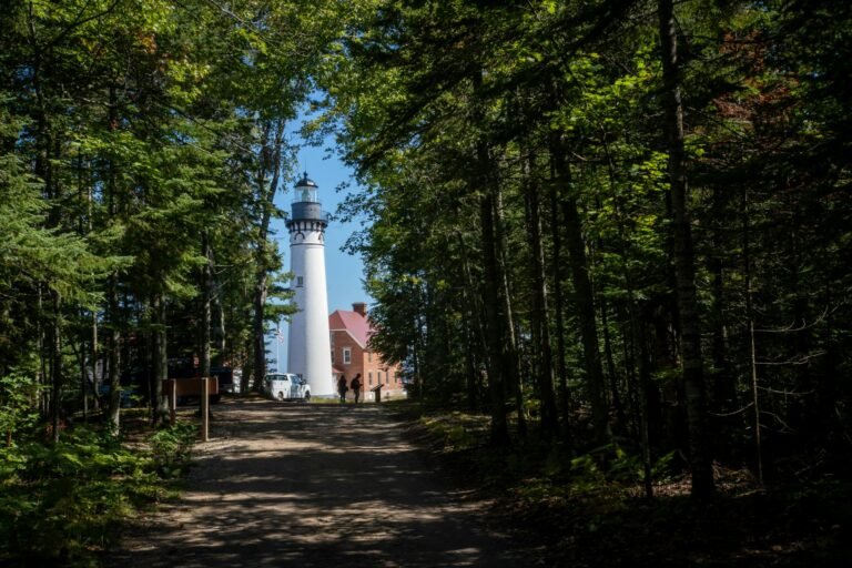 Bet365 Launches in Michigan as 17th US State, Eyes Massachusetts Next