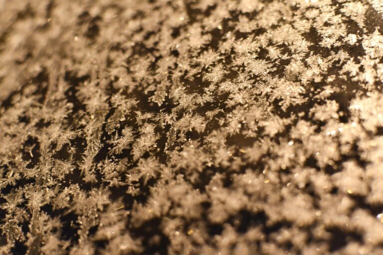 ZachXBT Helped Freeze $800K After French Streamer’s Dad Was Kidnapped in Crypto Ransom Plot