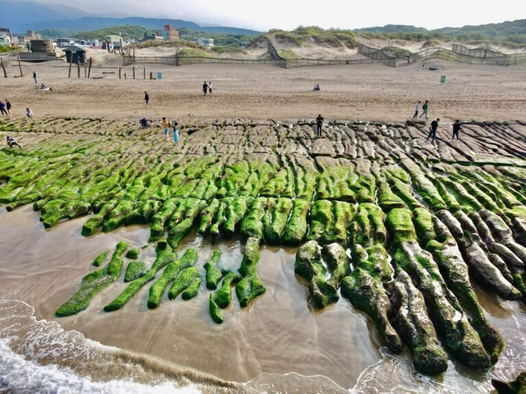 The $292 million Kelp DAO exploit shows why crypto bridges are still one of the industry's weakest links