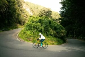 Polygon, Frax and Curve Launch Onchain Forex Liquidity Pools