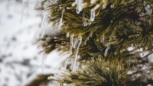 Tether freezes $344 million in USDT on Tron tied to 'illicit activity'