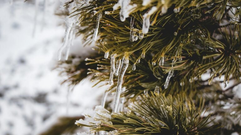 Tether freezes $344 million in USDT on Tron tied to 'illicit activity'