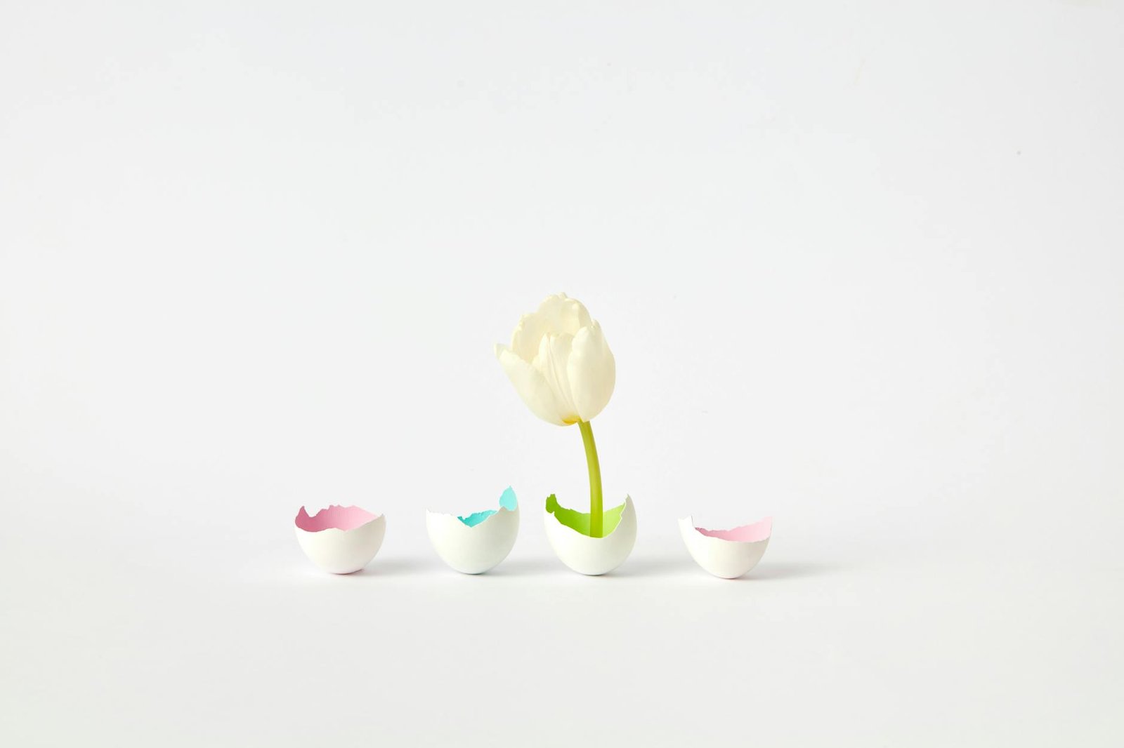 Andre Cronje’s Flying Tulip adds withdrawal circuit breaker as DeFi exploits mount