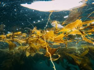 KelpDAO Exploiter Moves 75,701 ETH to Mainnet, Begins Routing $175M to Bitcoin