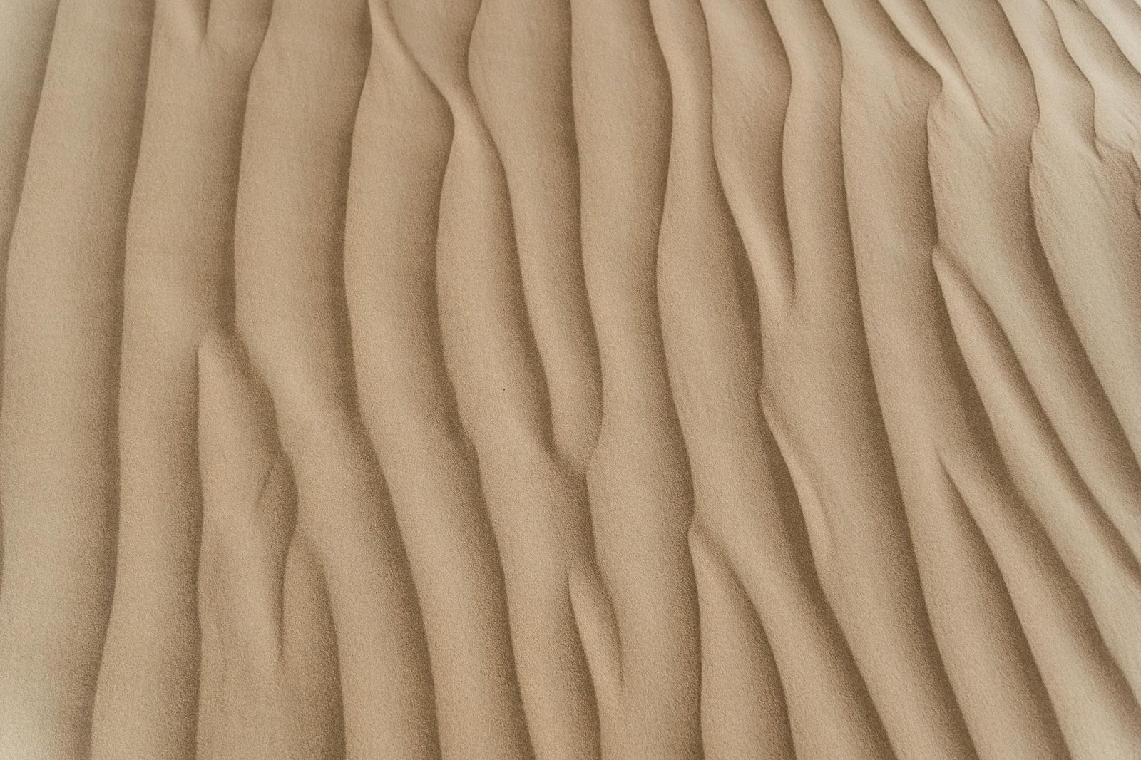 Dune Data Reveals Close to 50% of Layerzero Apps Use Basic Security