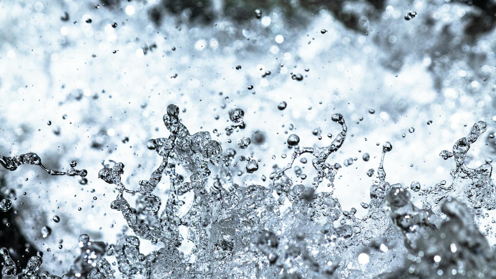 Ether treasuries need liquid staking edge to beat ETFs, says Lido exec