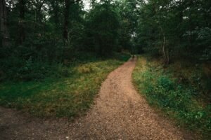 3 Paths Ahead: Kraken Maps Warsh-Led Fed Scenarios That Could Shift Crypto out of Range