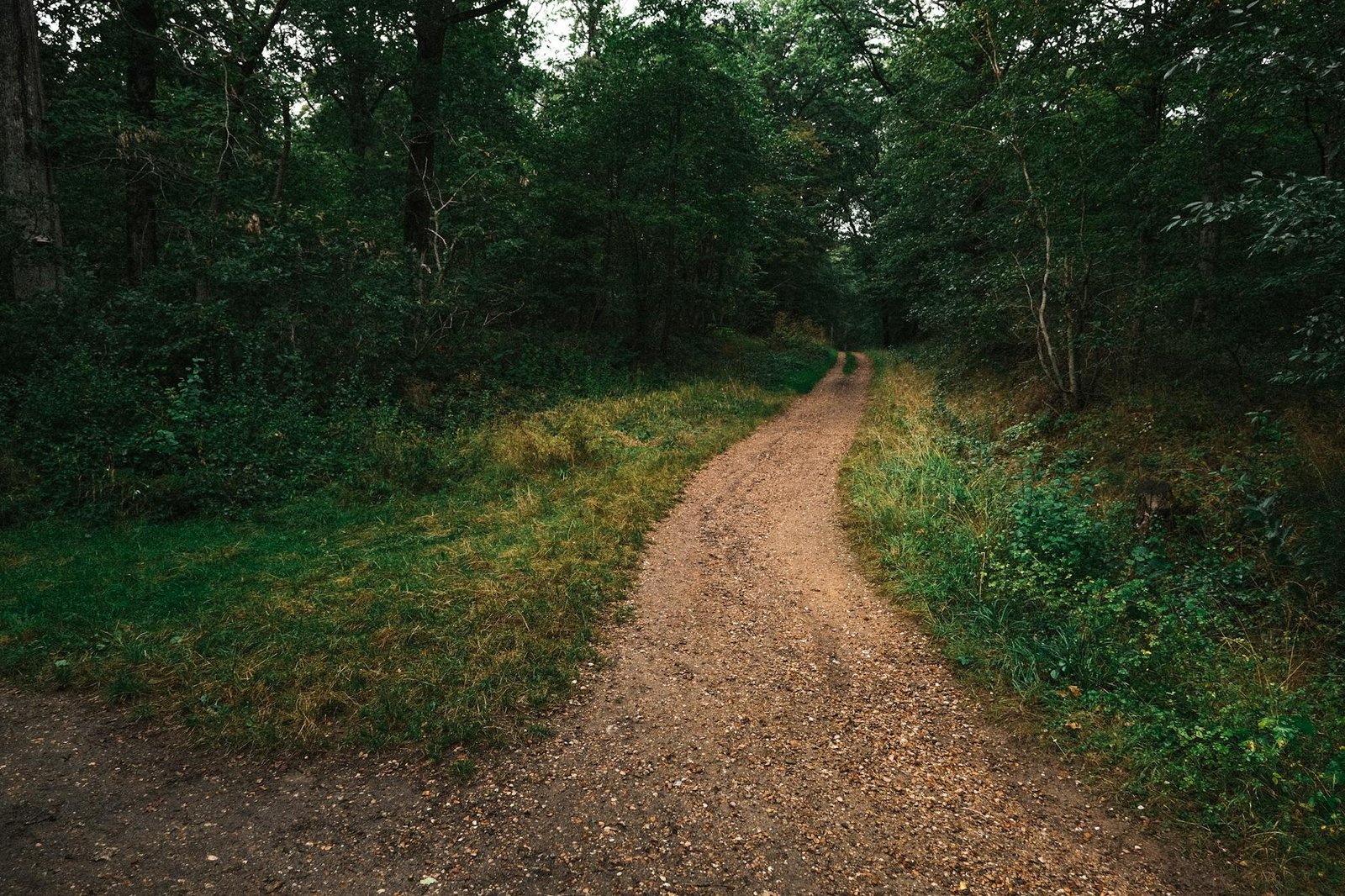 3 Paths Ahead: Kraken Maps Warsh-Led Fed Scenarios That Could Shift Crypto out of Range