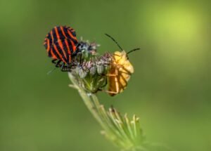AI drives surge in ‘bug bounty’ reports, but the ‘slop’ is rising too