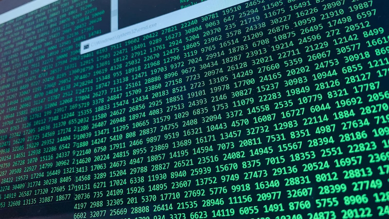 Polymarket denies data breach, says hacker is selling public data