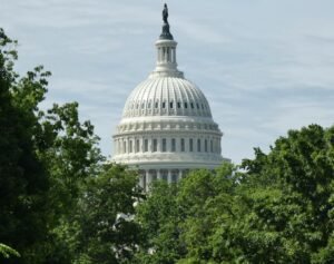 The government should promote innovation, not punish it
