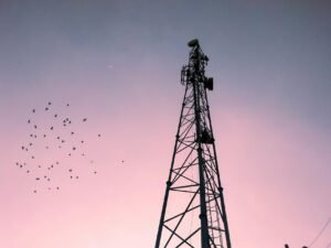 Sui Network Suffers 6-Hour Outage Following 1.72 Upgrade Bug