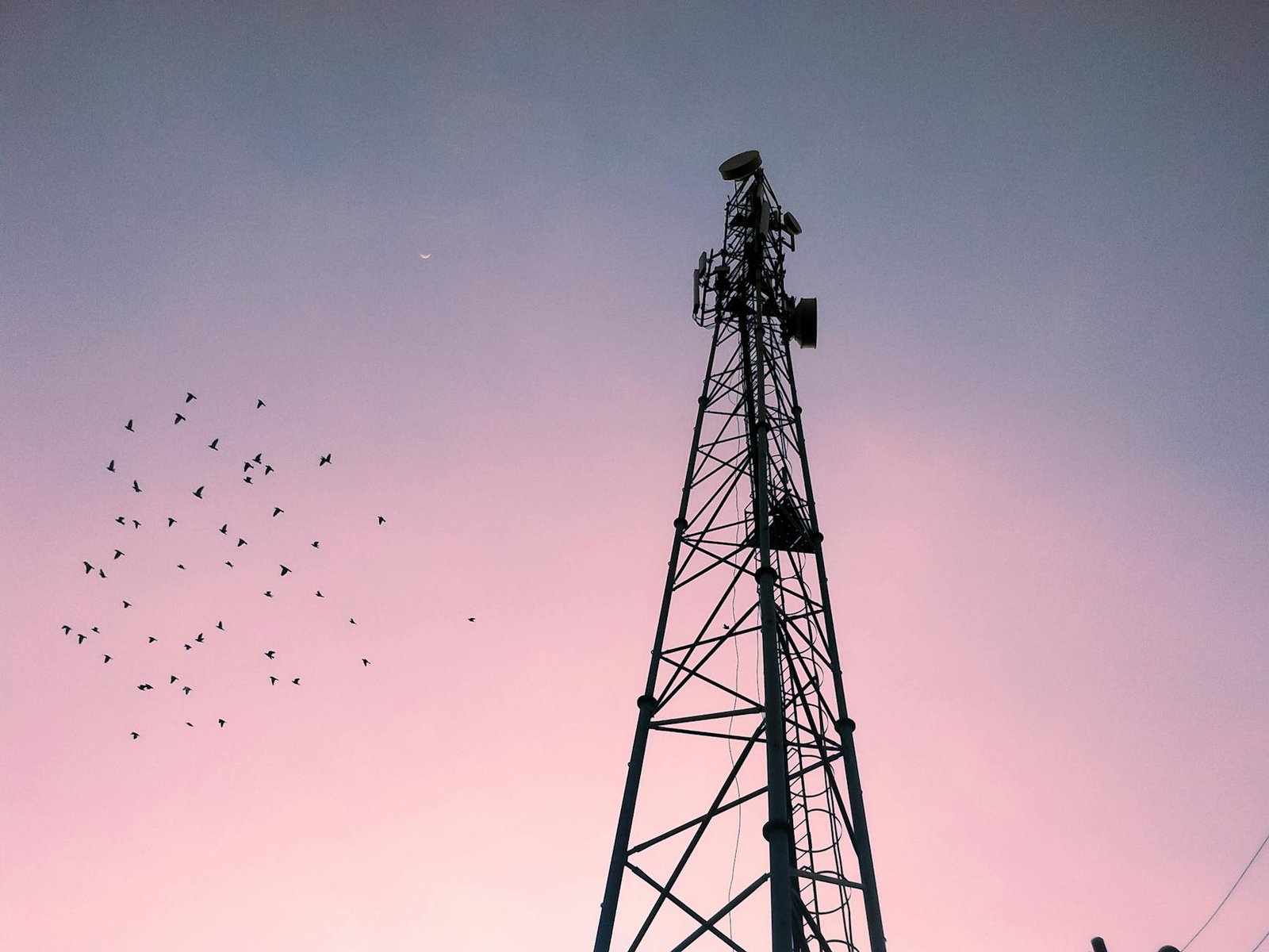 Sui Network Suffers 6-Hour Outage Following 1.72 Upgrade Bug