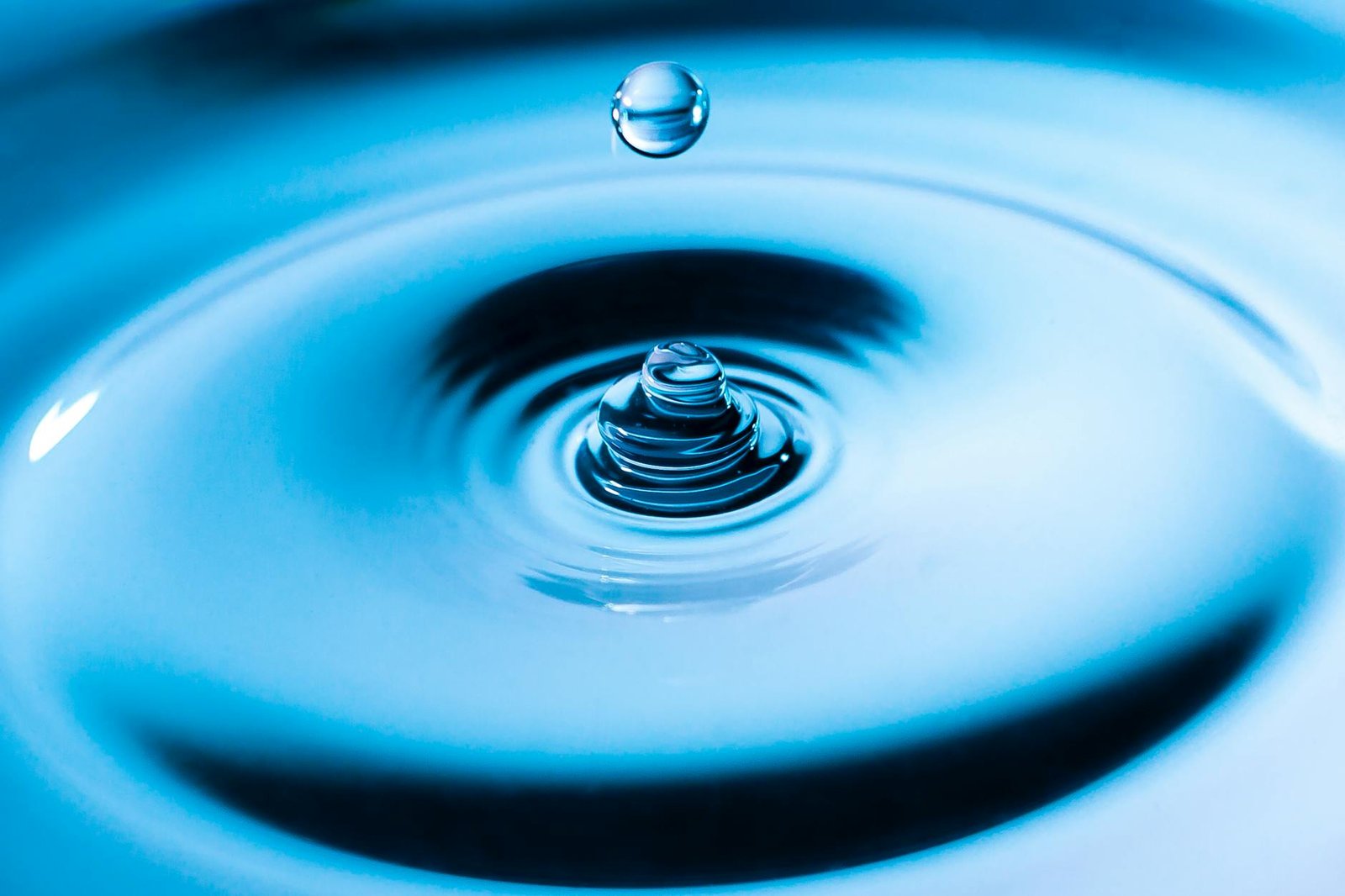 Ripple’s RLUSD Grant Results Show How $25M Reached US Classrooms