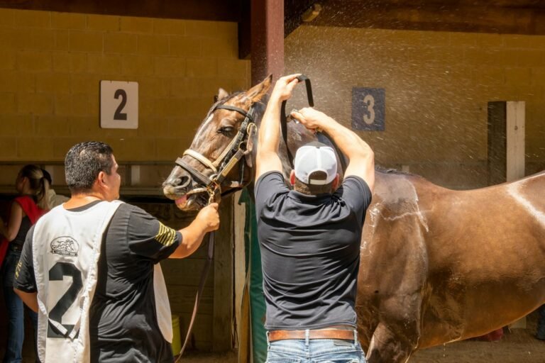 Stables CEO Says Migrant Flows Favor USDT, Driving 60% Cross-Border Dollar Demand
