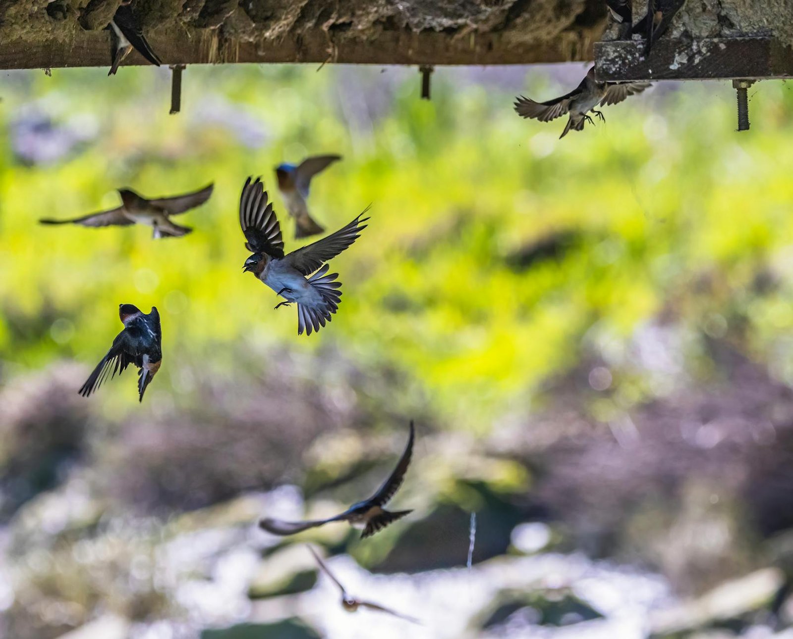 Why stablecoins and SWIFT may have to coexist