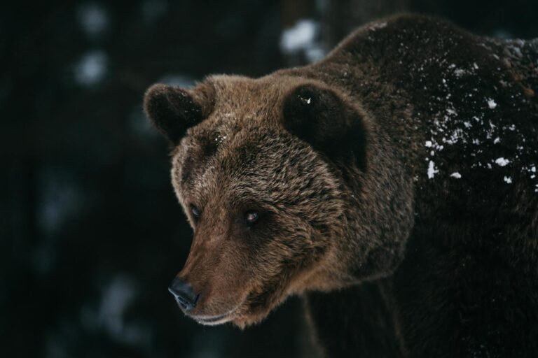 Ethereum traders say bears ‘in control’ after ETH price drop to $2K