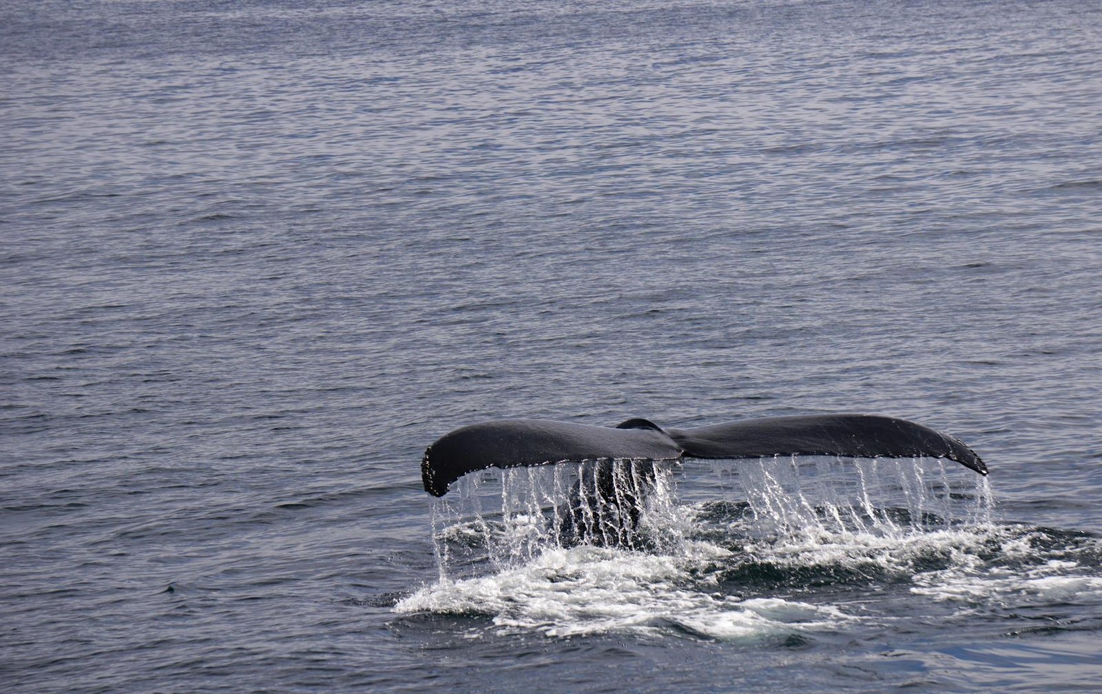 Whale Pulls 1,051 BTC Worth $82.35M From Binance in Single Transaction