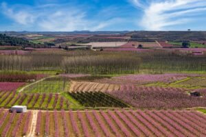 Spain joins growing list of countries shutting out Polymarket and Kalshi