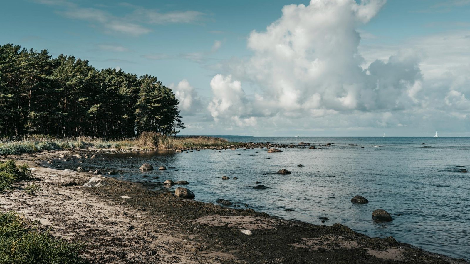 Estonian regulator partially suspends Zondacrypto operator license