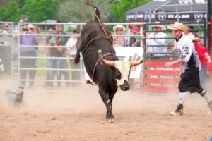 XRP Bulls Drive Token Above $90B Market Cap as Bitcoin Retakes $82,000
