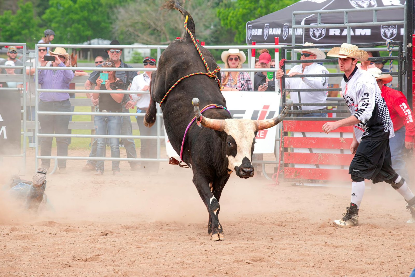 XRP Bulls Drive Token Above $90B Market Cap as Bitcoin Retakes $82,000
