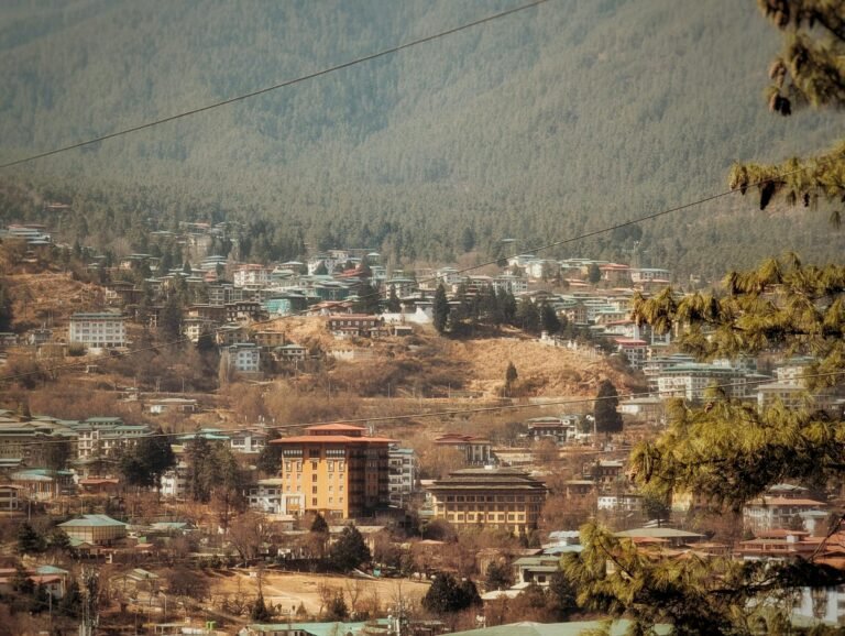 DHI CEO Says Bhutan Has No Recollection of Selling BTC Despite Balance Drop Flagged by Arkham