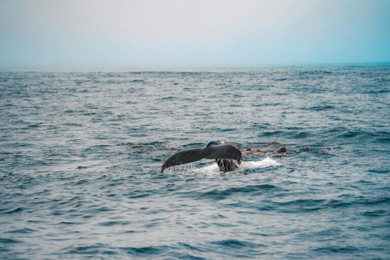 Ethereum Whale Dumps 20,000 ETH for $41.18M in a Single Hour as $2,000 Support Emerges