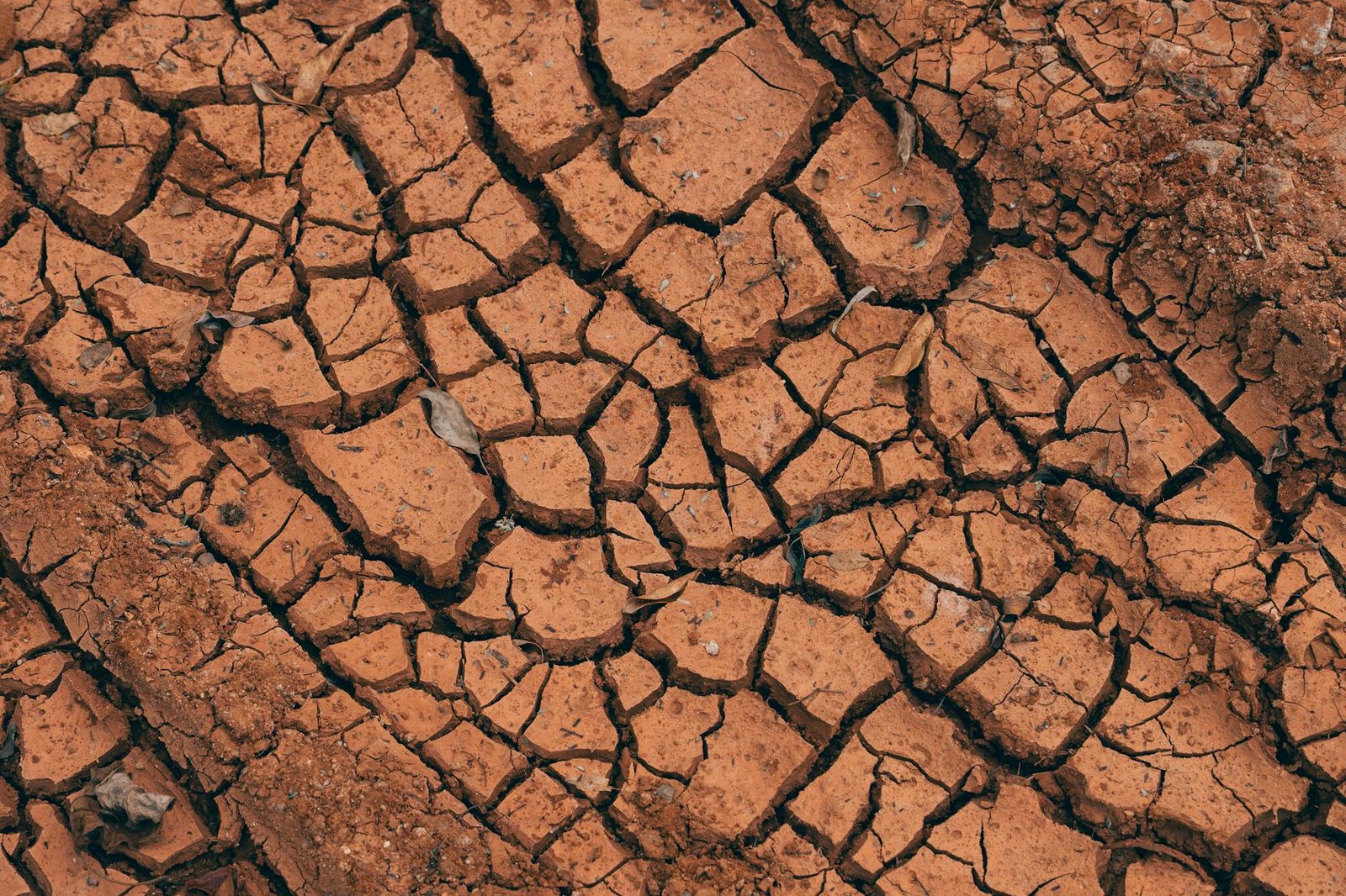 DeFi Confidence Cracks After KelpDAO Exploit as Aave Suffers 44% Monthly Drop
