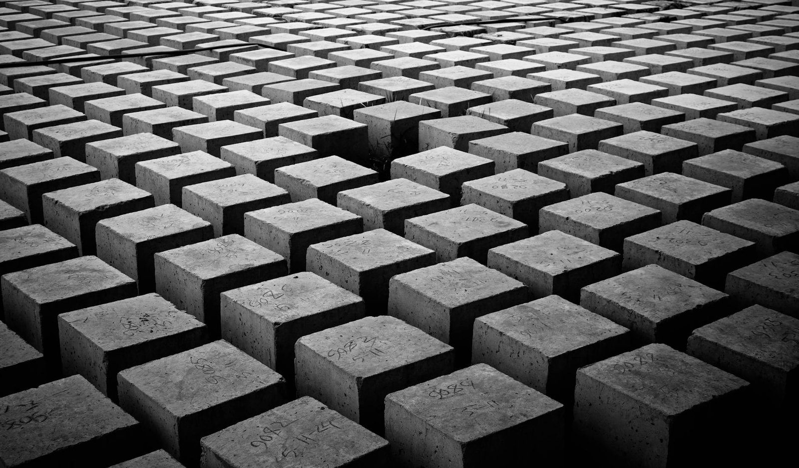 An AI Cracks an 80-Year-Old Geometry Puzzle. What Do Mathematicians Make of It?