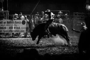 Zcash is 'running its own bull market' as ZEC price paints 88% rally setup