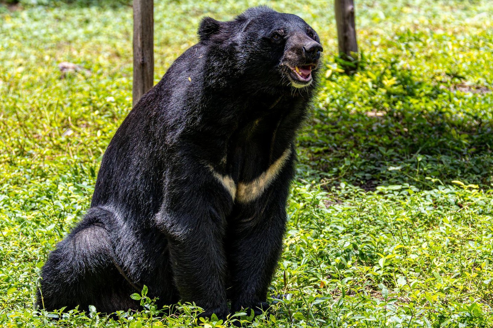 Ether bears at risk of $2B squeeze as short positions build around $2K