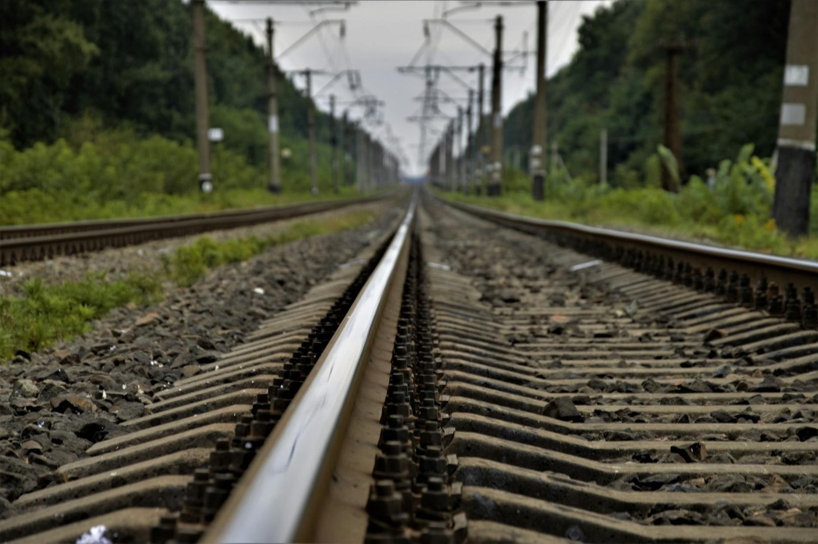 Forward Industries Posts $585M Loss as Solana Treasury Swings Hit Earnings