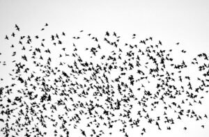 The $700 million migration: Why Solv Protocol is ditching LayerZero for Chainlink