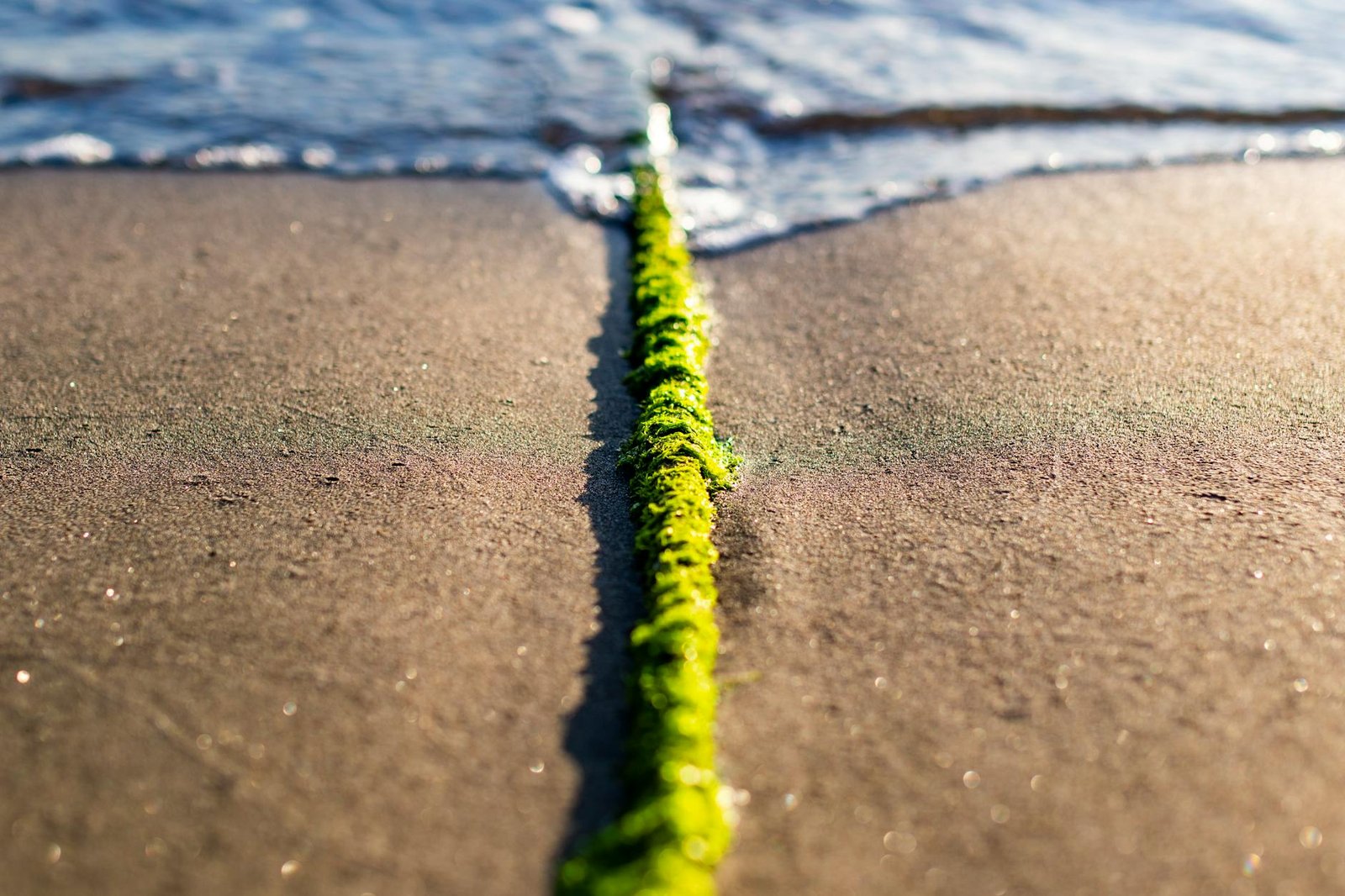 Kelp DAO exploit prompts DeFi protocols to rethink oracle providers