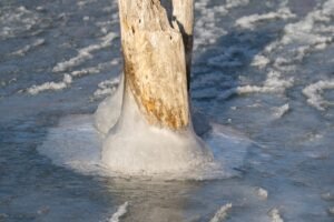 Stake DAO Freezes Arbitrum vsdCRV Markets After Attacker Mints 5.4T Synthetic Tokens