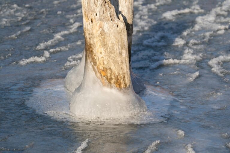 Stake DAO Freezes Arbitrum vsdCRV Markets After Attacker Mints 5.4T Synthetic Tokens