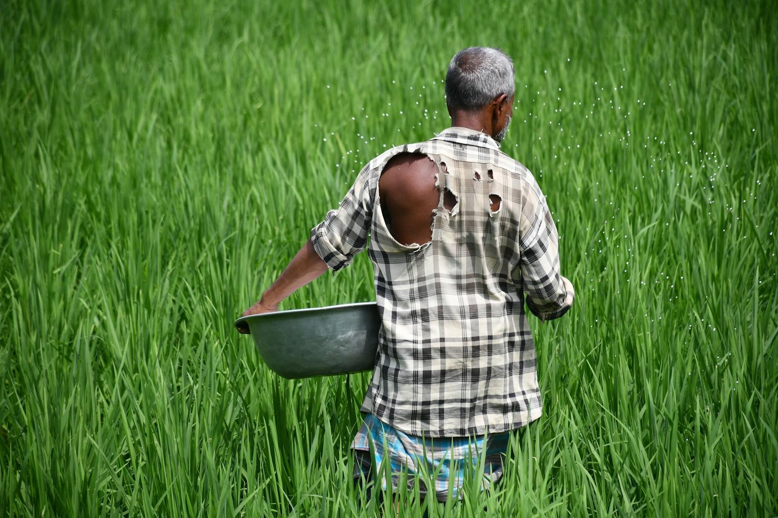 Strategy STRC Pays Farmer’s Father 11.5% Yield, Critics Call It a Bitcoin Bait and Switch