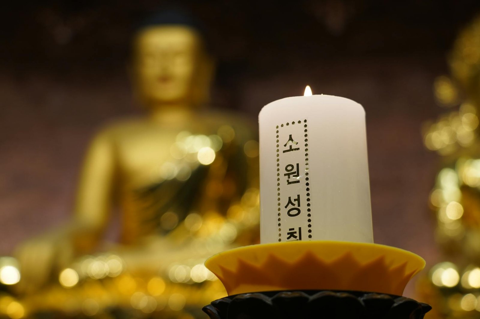 South Korean funeral company reveals $33 million loss on leveraged ether ETF bet